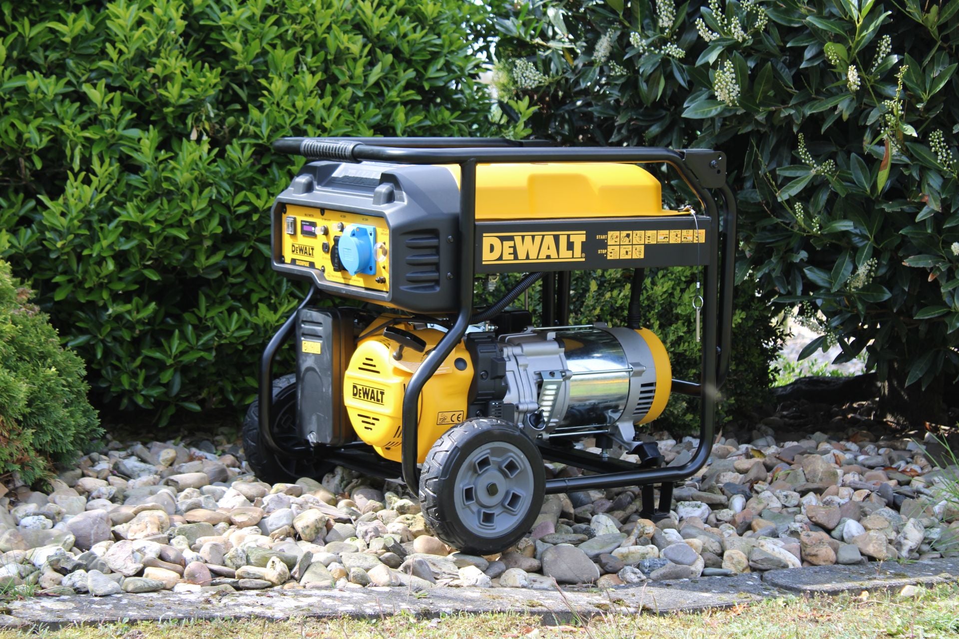 6500 Watt Benzin AVR Stromerzeuger DeWalt DXGNP65E