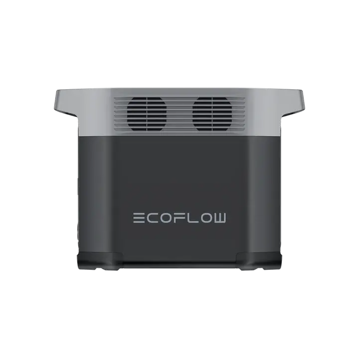 Powerstation DELTA 2 schwarz EcoFlow EcoFlow