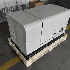Gas Stromerzeuger FME GA12000 /GG14- LPG / NG mit ATS Anschluss Kipor.org